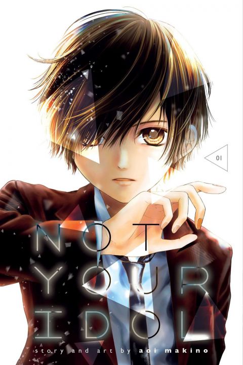 Not Your Idol Vol 1 Manga Books